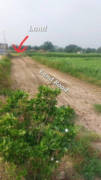 Land for Farmhouse