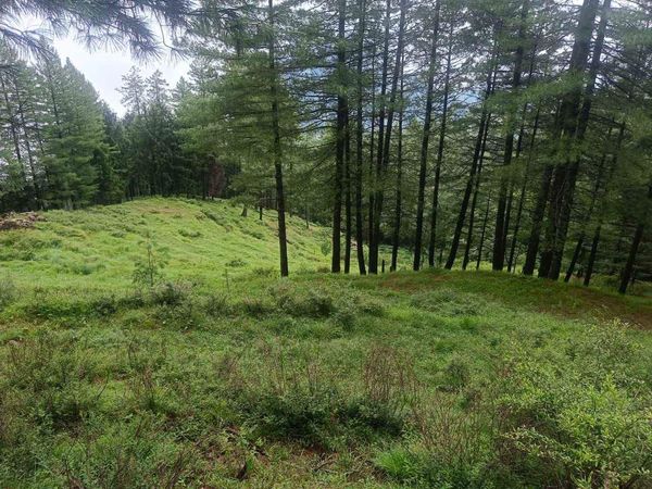 Land